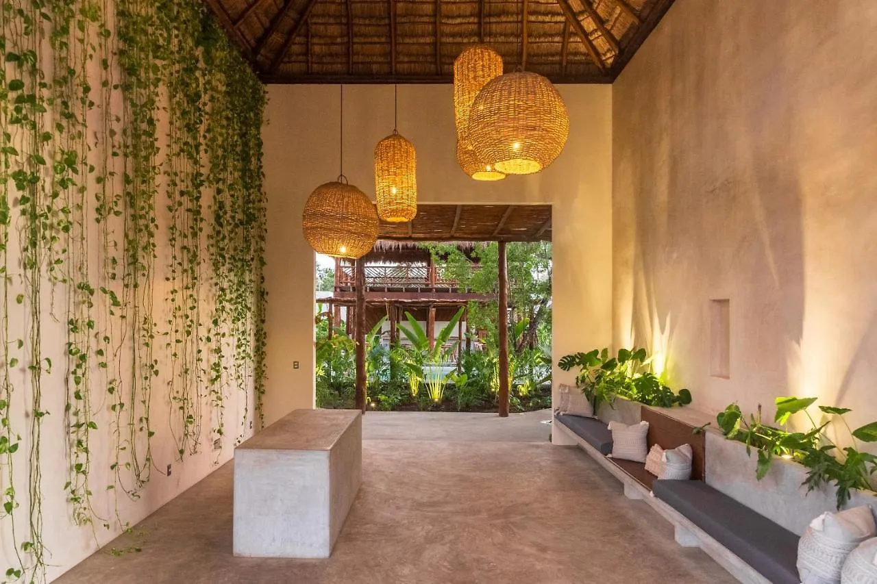 Hotel Zenses Wellness And Yoga Resort - Adults Only Tulum