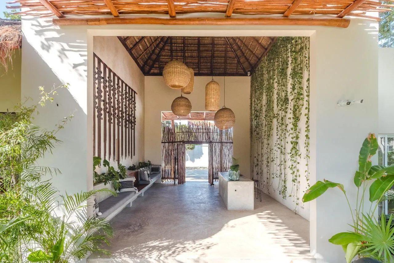 Hotel Zenses Wellness And Yoga Resort - Adults Only Tulum