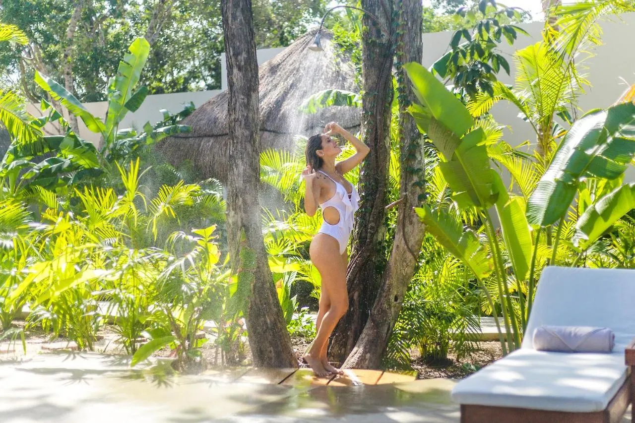 Zenses Wellness And Yoga Resort - Adults Only Tulum Hotel