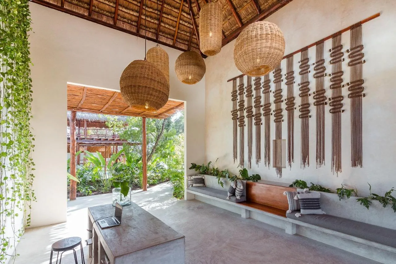 Hotel Zenses Wellness And Yoga Resort - Adults Only Tulum